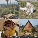 소요쿠키앤커피 | 전주 근교 완주 카페 모악산 근처 신상 와일드 플라워 커피 애견동반 아님