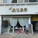 뮤즈헤어갤러리 이미지