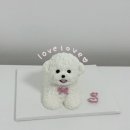 햇살가득동물병원 이미지