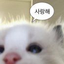 동성건재 | [대구 방탈출_ 공포,,] 영안실 후기