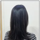 세종약품 이미지