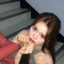 정세비 카카오 검색결과