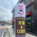 댄싱피그