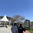 스텔라떡볶이충남서산예천점