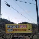 영암/ 개별시설 야외 노천탕 자쿠지 &#34;동글감나무캠핑장&#34; 프리미엄 캠핑장