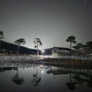 이른아침 캠핑장 이미지