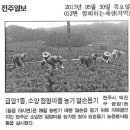 20130530-금암1동주민센터(농가일손돕기) 이미지