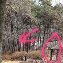 구봉산근린공원 배드민턴장 이미지