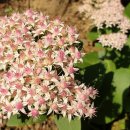 천만 행정사 사무소 이미지