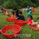 푸름코리아 이미지