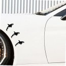 와이피케이글로벌 이미지