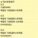 임신일기#13 임신16주차 첫태동시기, 배크기, 몸무게, 운동, 철분제복용