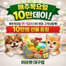 도그플러스 동물병원 마산점 | 구미강아지스케일링, 믿고 맡길 수 있는 곳 찾는다면? | 미유펫 대구점 | 도그플러스 동물병원