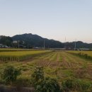 박용수농장 이미지