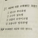 파이토플라즈마와 병원균 ✔ 이미지