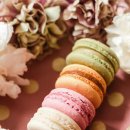 국제이벤트 이미지