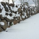 다움공인중개사사무소 이미지