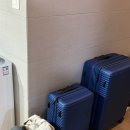 럭키카써비스 | [나의출장일기] 대한항공 인천-보스턴(B777-300ER)/미국 보스턴 로건 공항 입국/공항 렌터카 픽업 후기