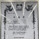 스테일피쉬에어건