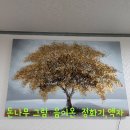 애니원플러스 이미지