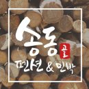 송동민박 이미지