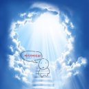 [노스텔지아 비스타] 기기괴괴한 Nostalgia vista 쫄탱 3인 자세한 후기