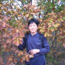 다애 카카오 검색결과