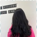 지웰헤어 이미지