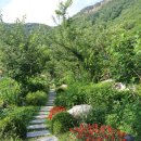 향기나라사랑이 이미지