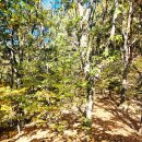 남도약수터 이미지