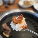 꾸버소 이미지