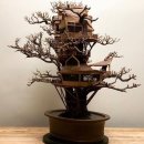 나무안에서 이미지