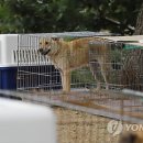 정오농장 이미지