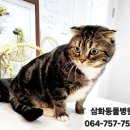 표선동물병원 이미지