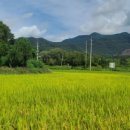 수수가옥 이미지