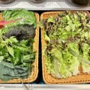김송숯불갈비