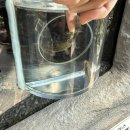 학감대로123번길(하나로길) | [공지] [대전] 대전 1박2일 여행코스 추천 후기 (한밭수목원, 꿈돌이하우스, 유성구맛집, 빵집)