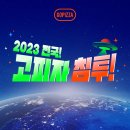 까치산 내돈내산 1인 식사 추천 | &#34;고피자(GOPIZZA)&#34; 혼자 피자 먹고 싶을 때! 1인피자 맛집, 고피자...