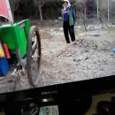 돼지삼삼