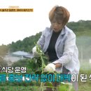 토박이식육식당 이미지