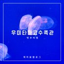 마린 | 후쿠오카 벳부 아이와여행 우미타마고 수족관 입장료 마린월드 비교 후기