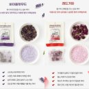 다대스파 이미지