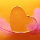 100가지의 사랑 이미지