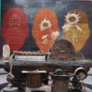 송도 해돋이공원 이미지