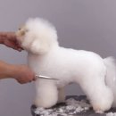 (주)에듀펫 이미지