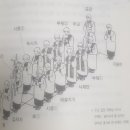 [전례상식] 주님 수난 성지 주일 에 대하여 이미지