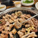 산꼼장어 이미지