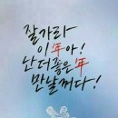 브레드앤킨포크 이미지