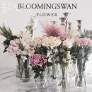 블루밍스완