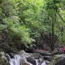 8월11일(목) 양평 사나사 계곡 물놀이-취소 이미지